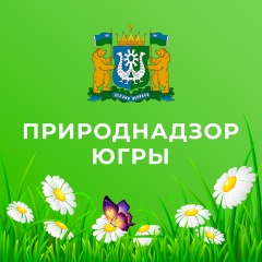 ������ �� �������� � ������� � ����� ������ ���������� �����, �������� ��������� ���� � ������ ��������� �����-����������� ����������� ������ � ���� �� ��������� �������� ����� �������� ������������ ������